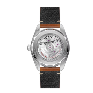 Omega Seamaster Railmaster 38 mm Steel - 235.12.38.20.13.001 thumbnail