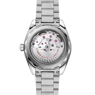 Omega Seamaster Aqua Terra 41 mm - 220.10.41.21.03.006 thumbnail