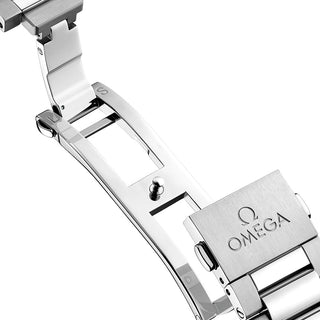 Omega Seamaster Aqua Terra 41 mm - 220.10.41.21.03.006 thumbnail