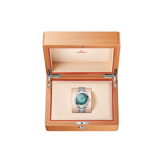 Omega Seamaster Aqua Terra 41 mm - 220.10.41.21.03.006 thumbnail