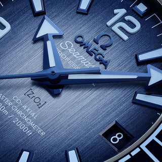 Omega Seamaster Planet Ocean 600M 39.5 mm Steel - 215.30.40.20.03.002 thumbnail