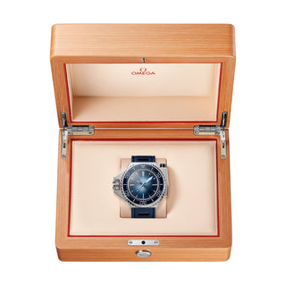 Omega Seamaster Ploprof 1200m 75th Anniversary Co Axial Master Chronometer - 227.32.55.21.03.001 thumbnail