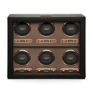 Axis 6PC Watch Winder