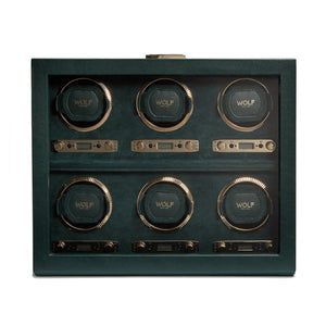 British Racing 6PC Watch Winder