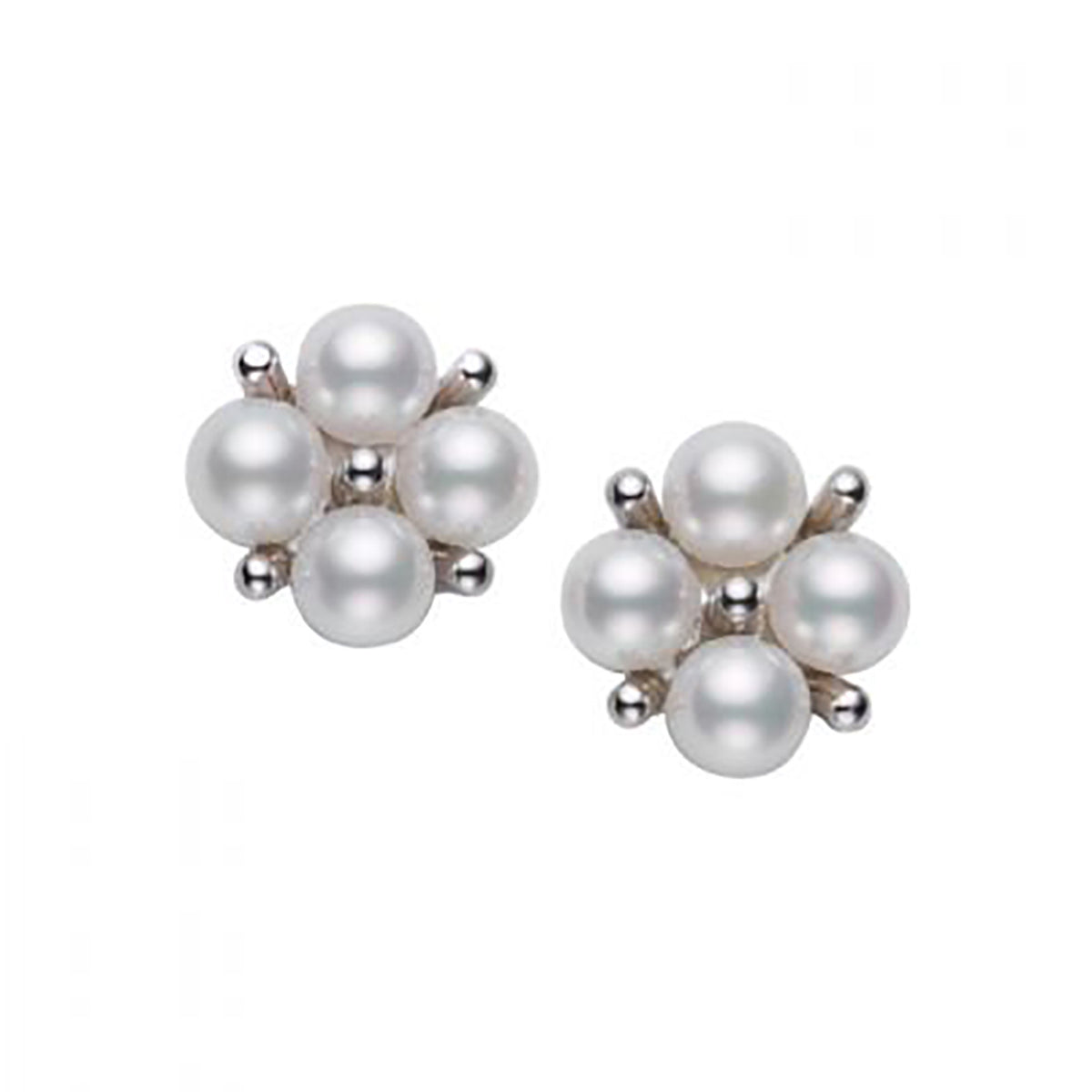Akoya Cultured Pearl Earrings in White Gold